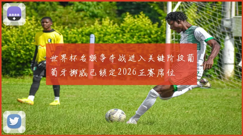世界杯名额争夺战进入关键阶段葡萄牙挪威已锁定2026正赛席位