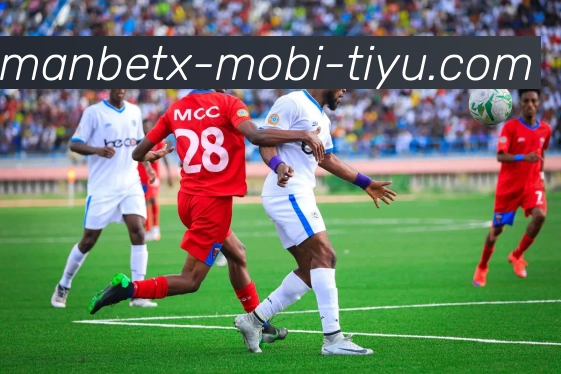 万博体育平台生态图